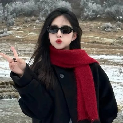 圣诞狗狗1:全面搜寻