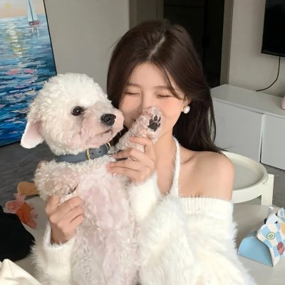 笼子在寻找小鸟